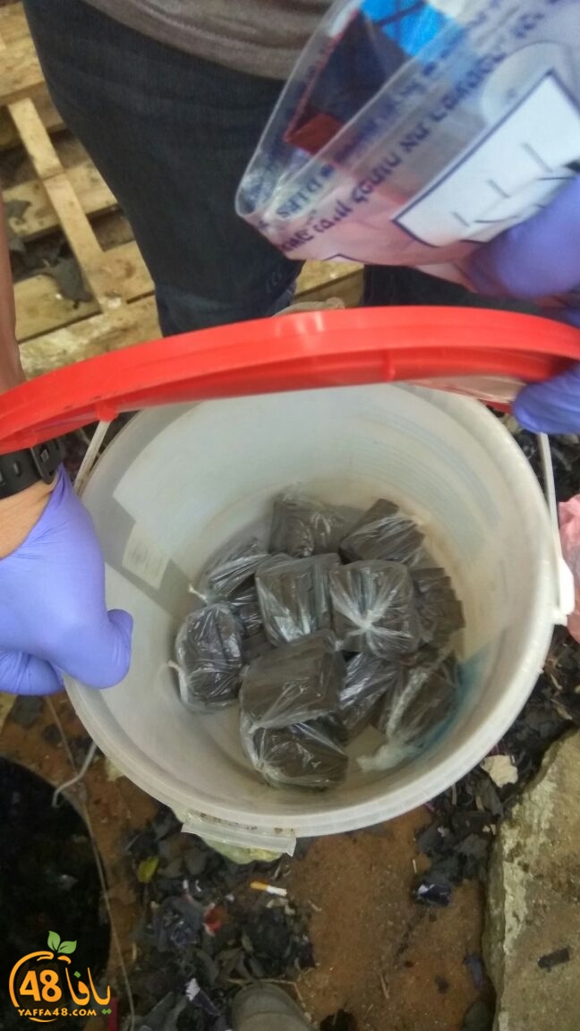 mokhardarat3 (2).jpg